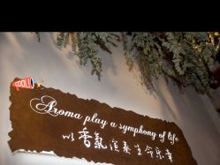 点击看大图 -芳香乐府SPA·五行芳疗