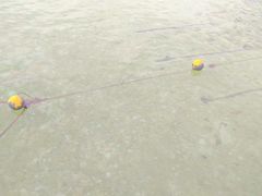 -东姑阿都拉曼海洋公园