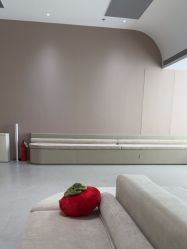 点击看大图 -BR光电保养