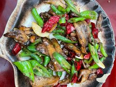 -蘑统田下·野生菌火锅