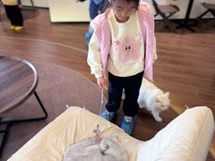 -有猫主题·治愈系猫咖(曾厝垵店)