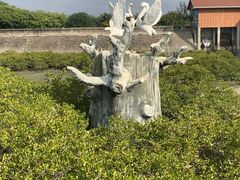 -北海金海湾红树林生态旅游区