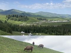 -新疆那拉提国家旅游度假区