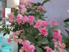 -汉水谣·江景餐厅(江滩店)