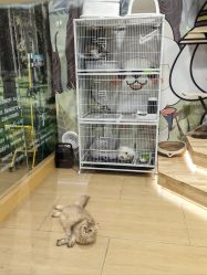 -小象动悟公园(龙湖亦庄天街店)
