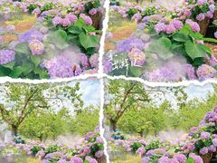 -名花谷生态庄园