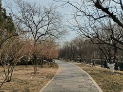 -元大都城垣遗址公园