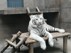 -西安秦岭野生动物园