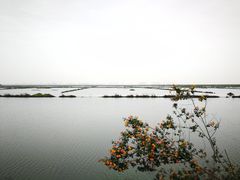 -南沙十九涌渔人码头-南门