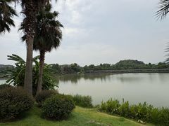 -枫香湖儿童公园