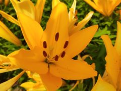 -长春公园(普阳街道)