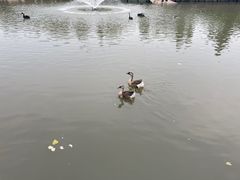 -溱湖国家湿地公园