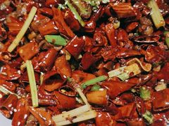 -雲蜀龙阁·金牌水煮鱼(方庄店)