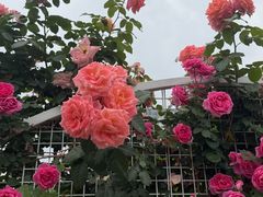 -太阳宫公园