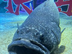 -沈阳海洋探索中心