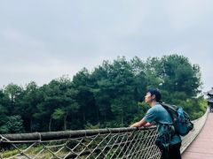 -铁山坪森林公园