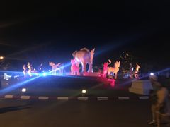 -清迈夜间动物园