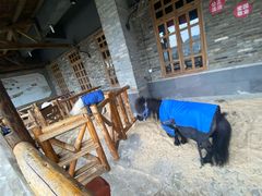 -巴倒烫陆派重庆火锅(南山店)