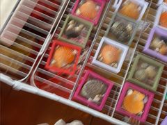 -蓝湾碧波·老字号·疍家非遗海上餐厅