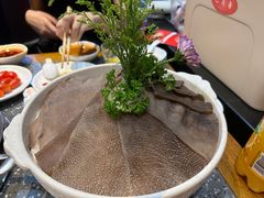 -华晟山城火锅(开发区港西东阁里店)