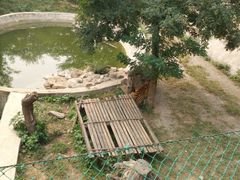 -石家庄市动物园