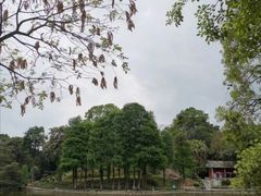 -广州市白云山风景名胜区