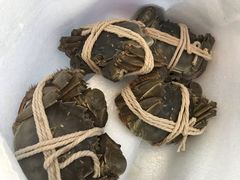 -喜洋洋蟹庄(阳澄湖店)