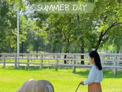 -北京群众马术培训基地