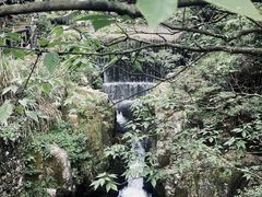 -花溪风景区