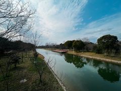 -上海海湾国家森林公园