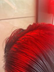 -碧莲盛·不剃发植发