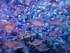 -成都浩海立方海洋公园