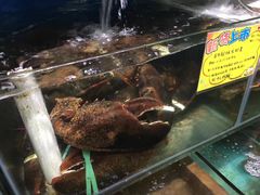 -蚝专家(北滘店)