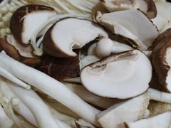 -恩福来涮羊肉(中北旗舰店)