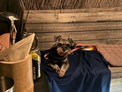 -毛辣果·酸(OHA复兴西路店)