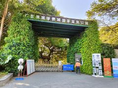 -华侨城湿地公园