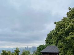 -南山植物园