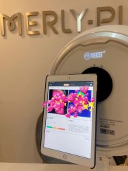 -MLP美丽派·问题肌疗愈中心