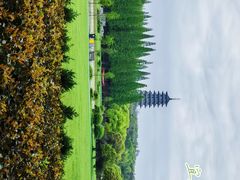 -宜兴龙背山森林公园