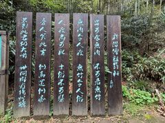 -众神白水涧景区