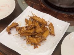 -正能量脆肉鲩火锅