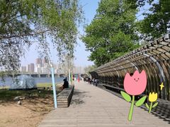 -长白岛森林公园