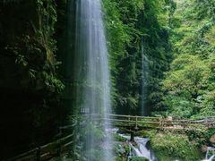 -碧峰峡风景区