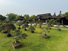 -扬州大运河文化旅游度假区·盆景园