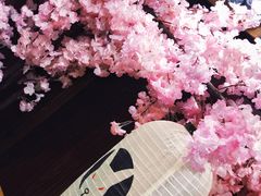 -白兔子密室(长寿路店)