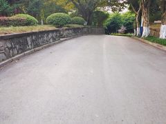 -西南政法大学(沙坪坝校区)