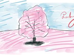 -Apple零售店(成都太古里店)