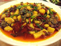 饵块鸡-红豆园(文林街店)