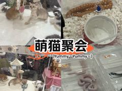 -金茂览秀城