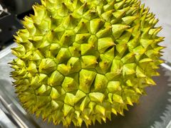 -金田水族花卉市场(银庄大厦店)